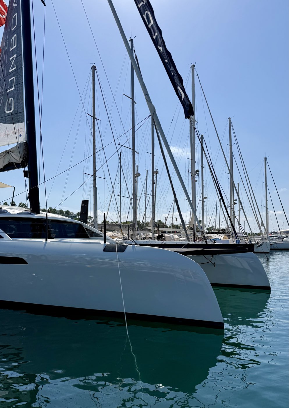 Étraves de catamarans alignées à quai au Cannes Yachting Festival 2026